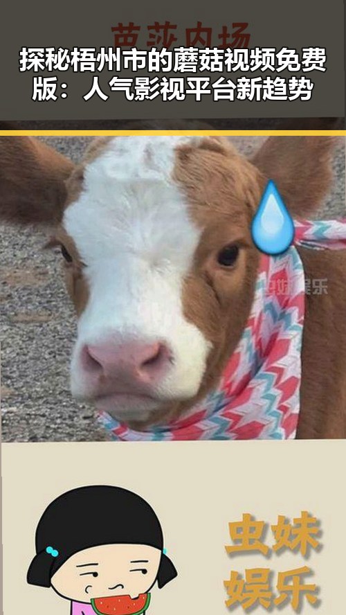 探秘梧州市的蘑菇视频免费版：人气影视平台新趋势