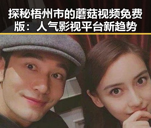 探秘梧州市的蘑菇视频免费版：人气影视平台新趋势