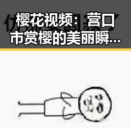樱花视频：营口市赏樱的美丽瞬间与体验
