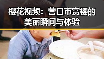 樱花视频:营口市赏樱的美丽瞬间与体验