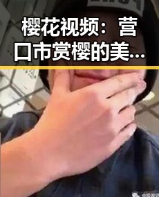 樱花视频:营口市赏樱的美丽瞬间与体验