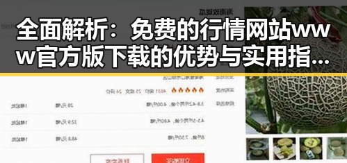 全面解析：免费的行情网站www官方版下载的优势与实用指南