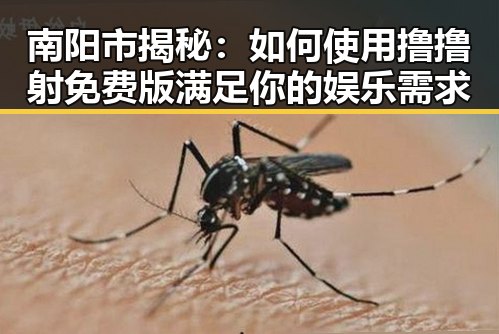 南阳市揭秘：如何使用撸撸射免费版满足你的娱乐需求