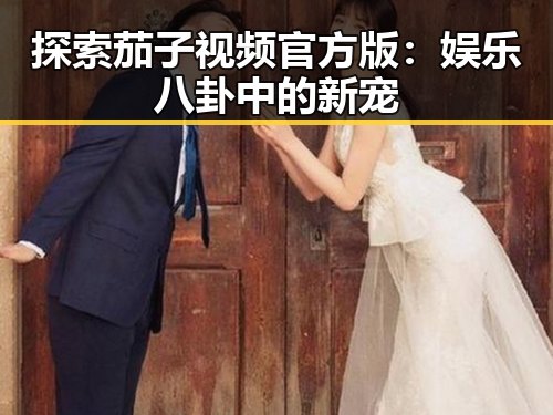 探索茄子视频官方版：娱乐八卦中的新宠