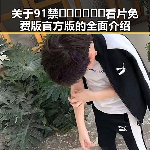 关于91禁🍆🍑🔞❌❌❌看片免费版官方版的全面介绍