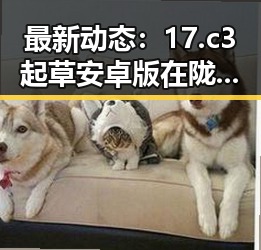 最新动态：17.c3起草安卓版在陇南市引发关注