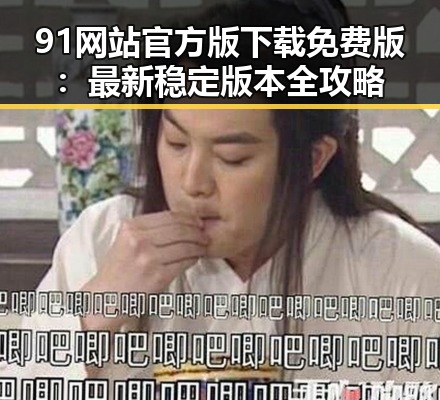 91网站官方版下载免费版：最新稳定版本全攻略