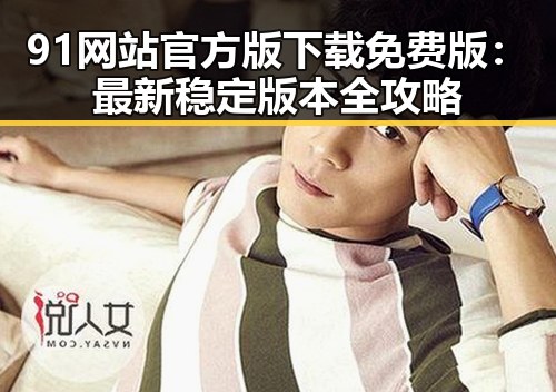 91网站官方版下载免费版:最新稳定版本全攻略