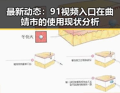最新动态：91视频入口在曲靖市的使用现状分析
