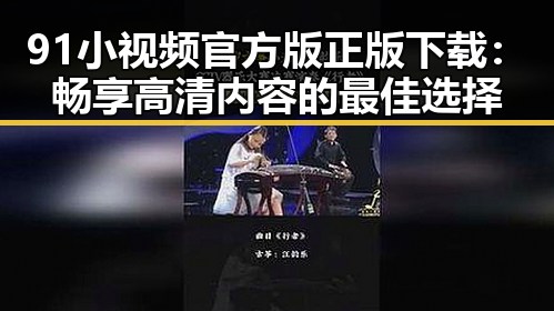 91小视频官方版正版下载：畅享高清内容的最佳选择