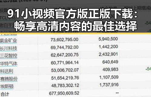 91小视频官方版正版下载：畅享高清内容的最佳选择