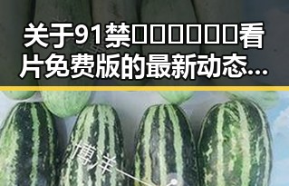 关于91禁🍆🍑🔞❌❌❌看片免费版的最新动态与关注点
