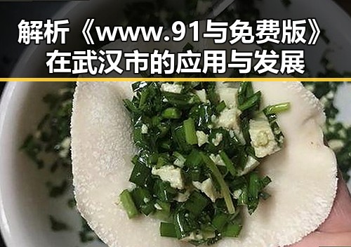 解析《www.91与免费版》在武汉市的应用与发展