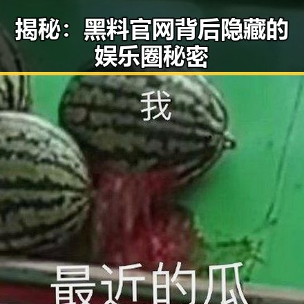 揭秘：黑料 官网背后隐藏的娱乐圈秘密