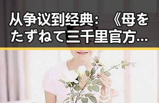 从争议到经典：《母をたずねて三千里官方版》的最新现状与回溯