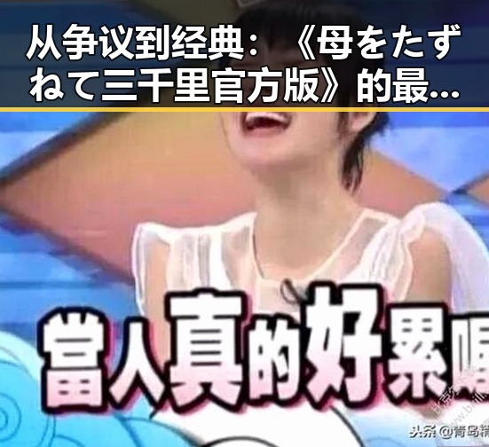 从争议到经典：《母をたずねて三千里官方版》的最新现状与回溯