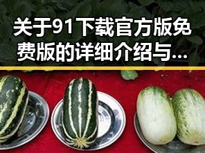 关于91下载官方版免费版的详细介绍与指南