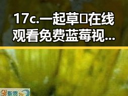 17c.一起草🌿在线观看免费蓝莓视频官方版下载：探索趣味娱乐新体验