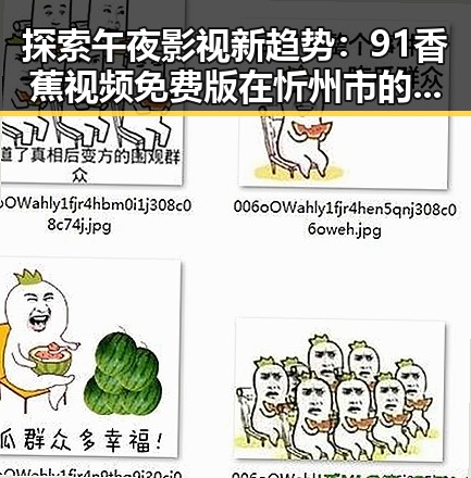 探索午夜影视新趋势：91香蕉视频免费版在忻州市的应用与发展