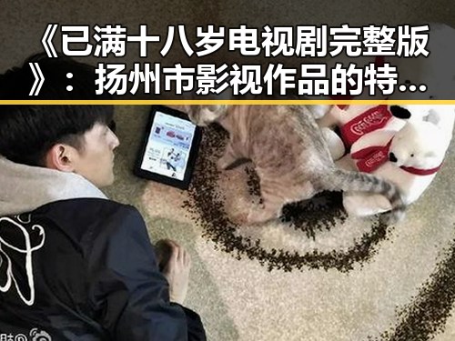 《已满十八岁电视剧完整版》:扬州市影视作品的特色与发展