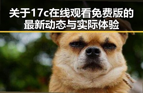 关于17c在线观看免费版的最新动态与实际体验