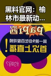 黑料 官网：榆林市最新动态揭秘