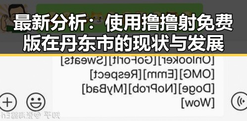 最新分析：使用撸撸射免费版在丹东市的现状与发展