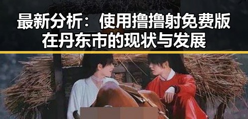 最新分析：使用撸撸射免费版在丹东市的现状与发展