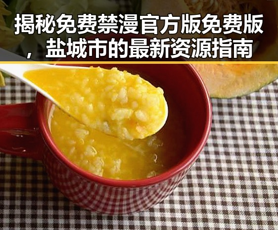 揭秘免费禁漫官方版免费版，盐城市的最新资源指南