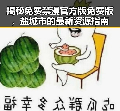 揭秘免费禁漫官方版免费版,盐城市的最新资源指南