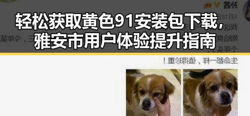 轻松获取黄色91安装包下载，雅安市用户体验提升指南