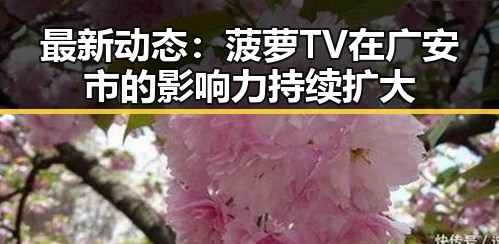 最新动态：菠萝TV在广安市的影响力持续扩大