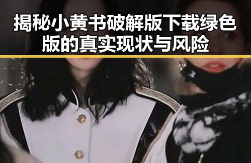 揭秘小黄书破解版下载绿色版的真实现状与风险