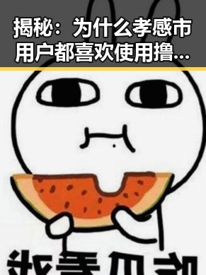 揭秘：为什么孝感市用户都喜欢使用撸撸射免费版
