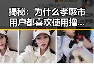 揭秘：为什么孝感市用户都喜欢使用撸撸射免费版