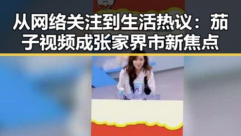 从网络关注到生活热议：茄子视频成张家界市新焦点