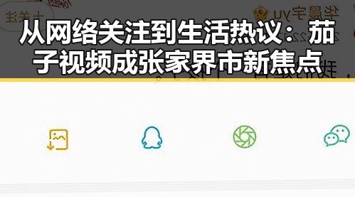 从网络关注到生活热议：茄子视频成张家界市新焦点