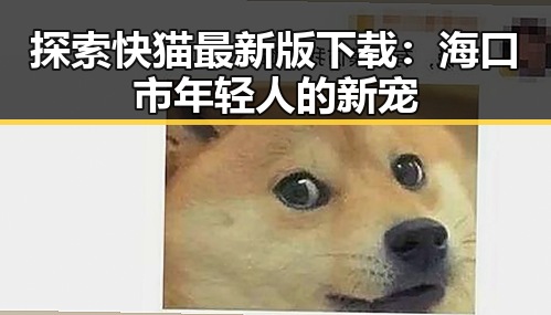 探索快猫最新版下载：海口市年轻人的新宠