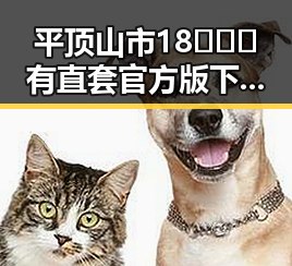 平顶山市18❌❌❌有直套官方版下载：最新资源全解析