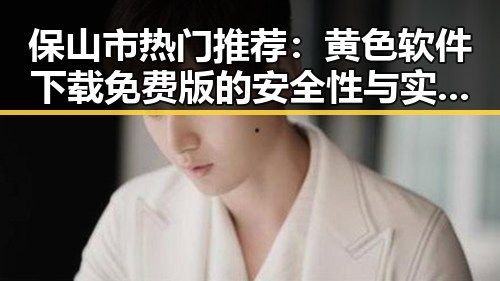 保山市热门推荐：黄色软件下载免费版的安全性与实用性分析