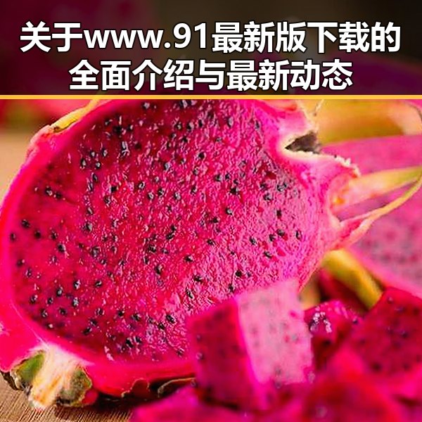 关于www.91最新版下载的全面介绍与最新动态