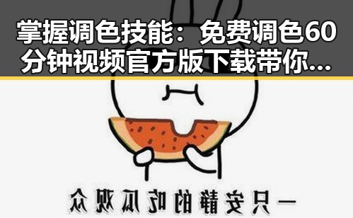 掌握调色技能：免费调色60分钟视频官方版下载带你入门