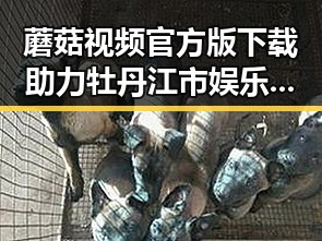 蘑菇视频官方版下载助力牡丹江市娱乐内容多元发展