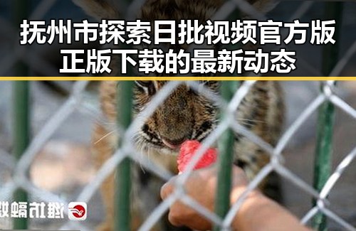 抚州市探索日批视频官方版正版下载的最新动态