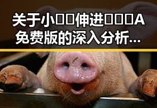 关于小🐔🐔伸进🈲🔞🔞A免费版的深入分析与讨论