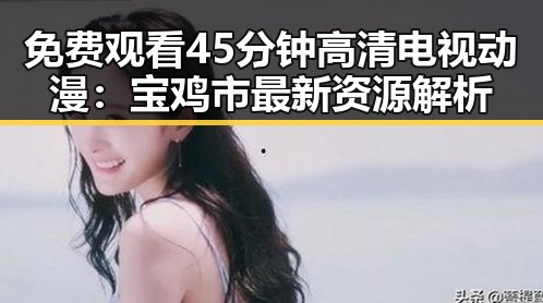 免费观看45分钟高清电视动漫：宝鸡市最新资源解析