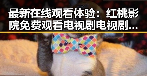 最新在线观看体验：红桃影院免费观看电视剧电视剧高清与免费版现状解析