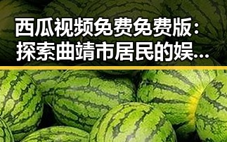 西瓜视频免费免费版：探索曲靖市居民的娱乐新体验