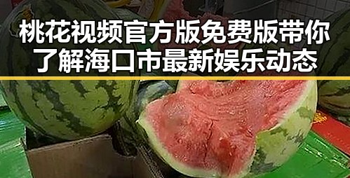 桃花视频官方版免费版带你了解海口市最新娱乐动态