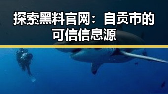探索黑料 官网：自贡市的可信信息源